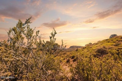 /international/us/55-foxtail-circle-pine-az-110104411861/