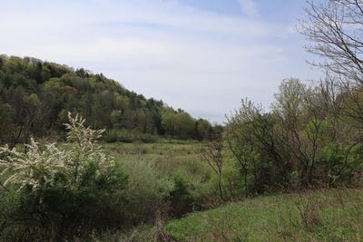 /international/us/0-mosier-road-wyalusing-pa-110097645801/