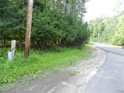 /international/us/bingham-mills-rd-stafford-ny-110119299598/