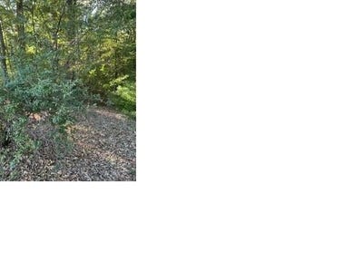 /international/us/425-hickory-woods-ln-lot-6-eads-tn-110120104277/