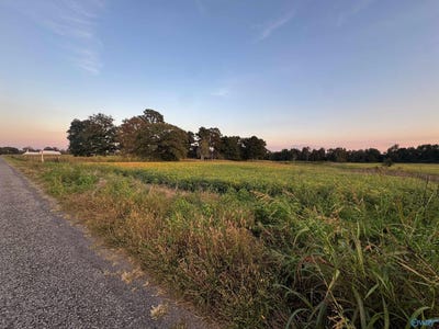 /international/us/6acres-county-road-337-section-al-110110397900/