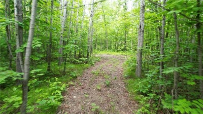 /international/us/parcel-d-ticonderoga-trail-hackensack-mn-110098149731/?lang=zh-tw