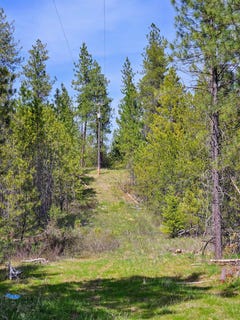 /international/us/4464-woods-way-rd-springdale-wa-110099140089/?lang=it