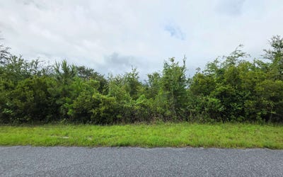 /international/us/tbd-se-weeks-lane-lake-city-fl-110108815410/