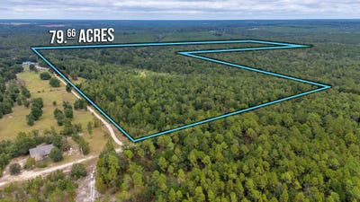 /international/us/79-acres-bucking-up-road-laurel-hill-fl-110102613994/