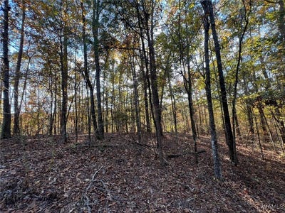 /international/us/allison-drive-lot-6-mccalla-al-110105035058/