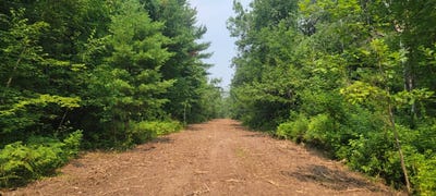 /international/us/lot-7-poradish-road-exeland-wi-110101435149/