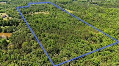 /international/us/000-county-road-4-fitzpatrick-al-110108203476/