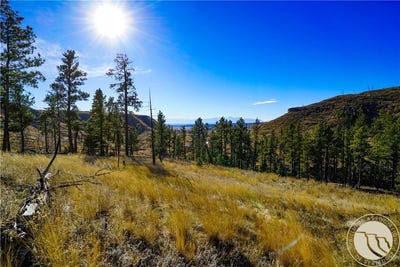 /international/us/dry-hole-trail-reed-point-mt-110104878914/
