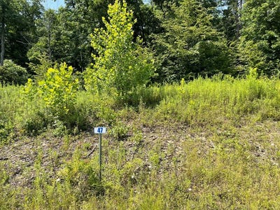 /international/us/lot-47-hemlock-hills-rd-towanda-pa-110090761110/