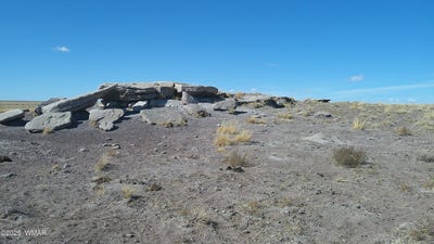 /international/us/tbd-river-meadows-ranch-concho-az-110097823338/