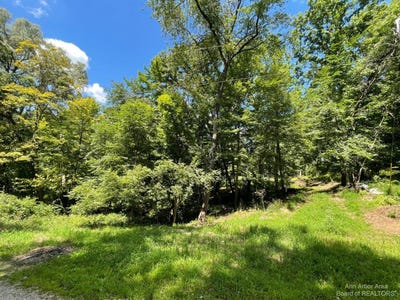 /international/us/20692-hidden-lake-drive-gregory-mi-110098646307/?lang=zh-tw