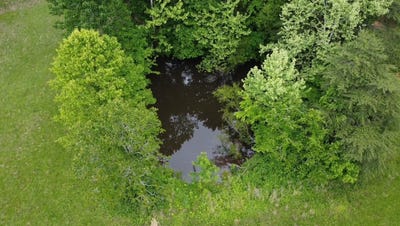 /international/us/94-acres-towery-cemetery-road-princeton-ky-110107857535/
