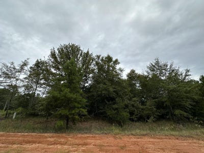 /international/us/0-36-nelson-court-louisville-ga-110094470411/?lang=es
