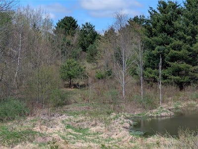 /international/us/1569-oakdale-road-johnson-city-ny-110104922601/