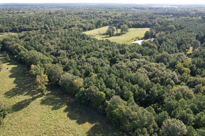 /international/us/county-road-168-1-long-branch-tx-110094047363/