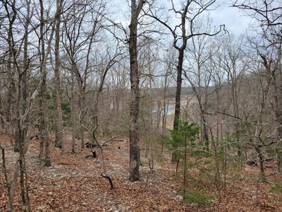 /international/us/lost-mine-road-theodosia-mo-110108023417/