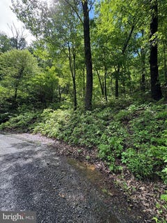 /international/us/lot-151-tomahawk-trail-winchester-va-110100677806/?lang=zh-tw