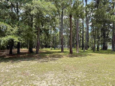 /international/us/7241-lawrimore-ln-conway-sc-110108854360/