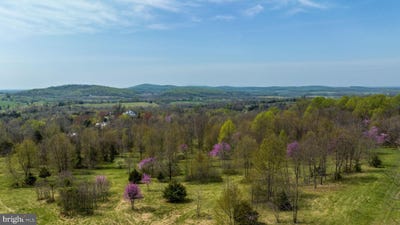 /international/us/lot-18-hawthorne-drive-rapidan-va-110100768137/