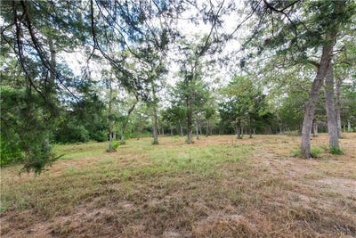 /international/us/tbd-grape-cir-1-2-acres-somerville-tx-110098061973/