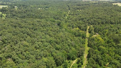 /international/us/881-driftwood-drive-pineville-ar-110098651579/