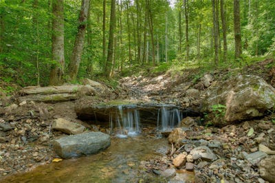 /international/us/000-shadowwood-drive-spruce-pine-nc-110100503777/