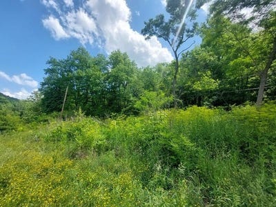 /international/us/1695-industrial-road-cold-spring-ky-110100796835/