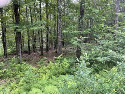 /international/us/956-n-barnstead-road-barnstead-nh-110100748366/?lang=es