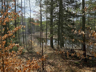 /international/us/179-chickville-road-ossipee-nh-110105065020/