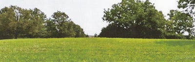 /international/us/4820-north-bend-road-green-twp-oh-110096059714/