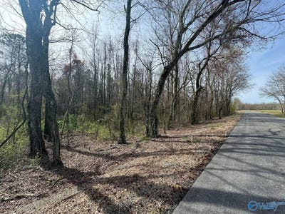 /international/us/14-acres-county-road-62-section-al-110099170992/