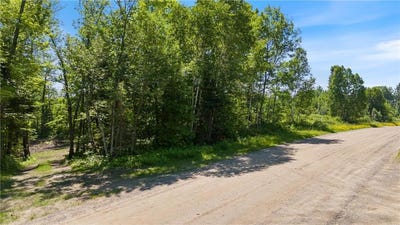 /international/us/67246-340th-avenue-hill-lake-twp-mn-110100654616/?lang=zh-tw