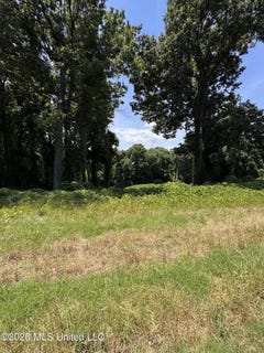 /international/us/10533-spring-river-cove-lot-81-lake-cormorant-ms-110108547135/