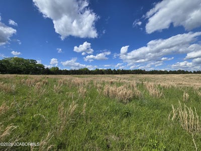 /international/us/county-route-353-fulton-mo-110107881492/
