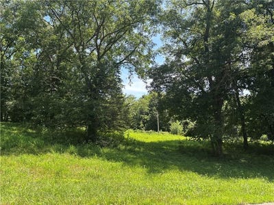 /international/us/lot-3043-lake-viking-terrace-gallatin-mo-110101310364/?lang=zh-tw