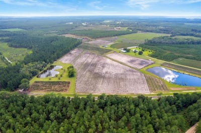 /international/us/lot-3-51-47-ac-cody-nichols-ga-road-other-ga-110101030327/