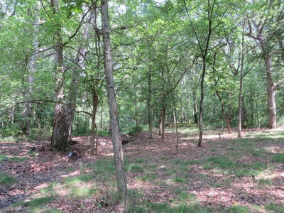 /international/us/six-mile-grove-sub-04-31-14e-momence-il-110102706333/
