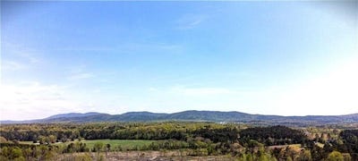 /international/us/80-mundy-road-rydal-ga-110099933303/