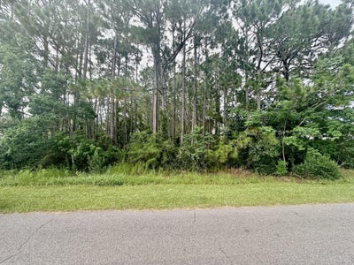 /international/us/tbd-brinkley-street-navarre-fl-110101502440/?lang=pt