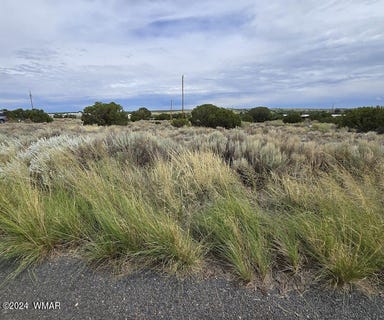 /international/us/74-alpine-lane-concho-az-110094213284/