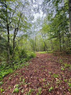/international/us/18-ledge-hill-road-sterling-ct-110106601529/
