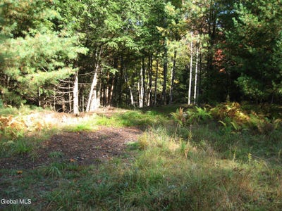 /international/us/14-granite-ridge-road-chestertown-ny-110102544118/