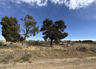 /international/us/12040-road-n-cahone-co-110096980865/