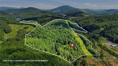 /international/us/211-independence-way-west-jefferson-nc-110119301923/