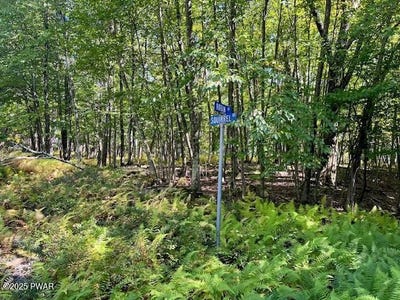 /international/us/corner-squirrel-robin-lane-lot-425-dingmans-ferry-pa-110102376680/