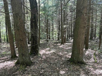 /international/us/360-ives-hill-road-afton-ny-110103509353/