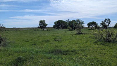 /international/us/high-plains-trail-lot-30-bellevue-tx-110107504795/