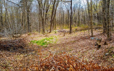 /international/us/1053-miller-pond-road-grantham-nh-110107982914/