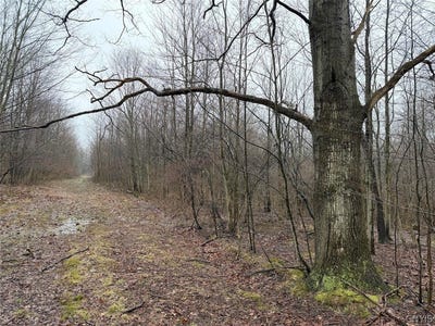 /international/us/bliss-road-mayville-ny-110106668377/